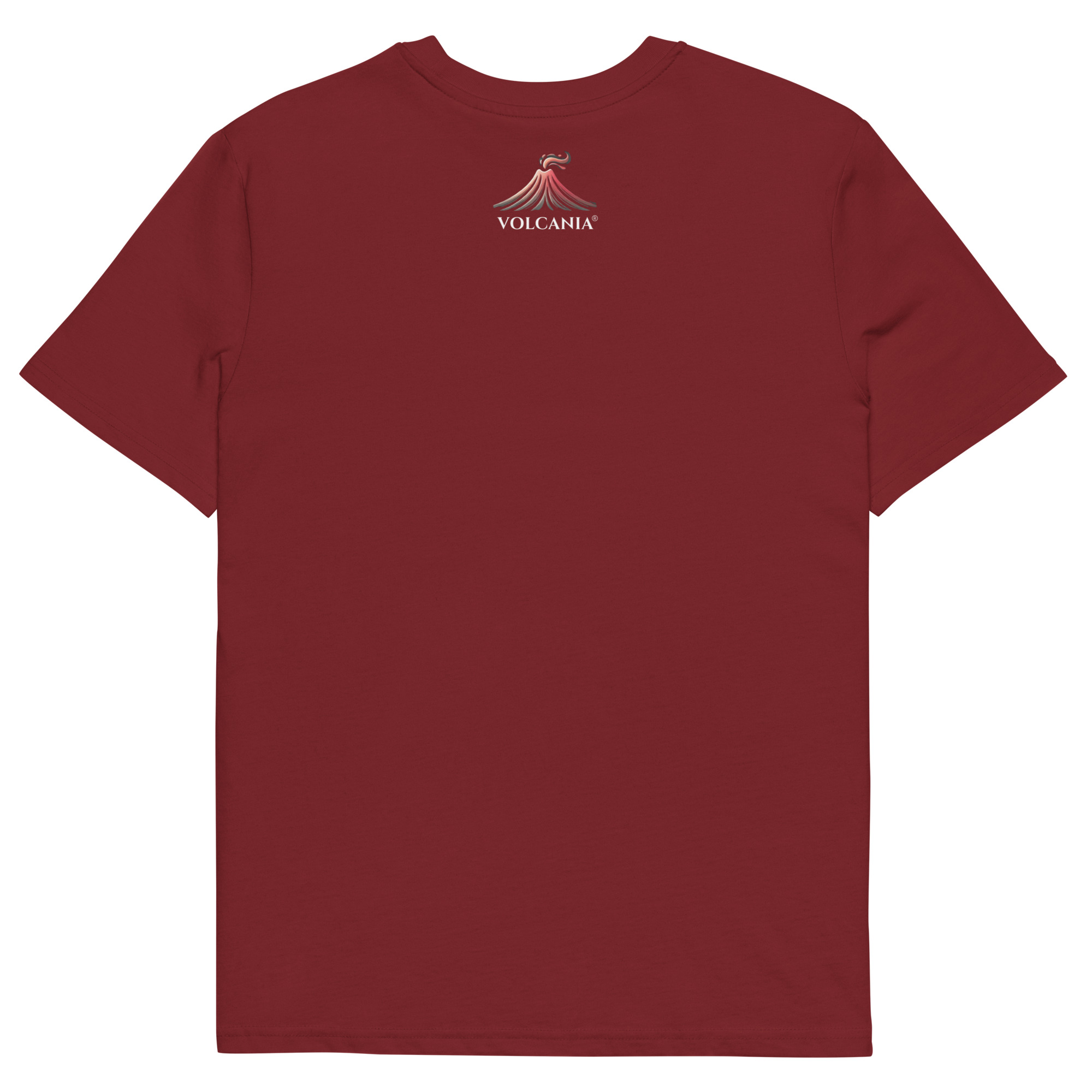 unisex-organic-cotton-t-shirt-burgundy-back-6750545d9d642.jpg